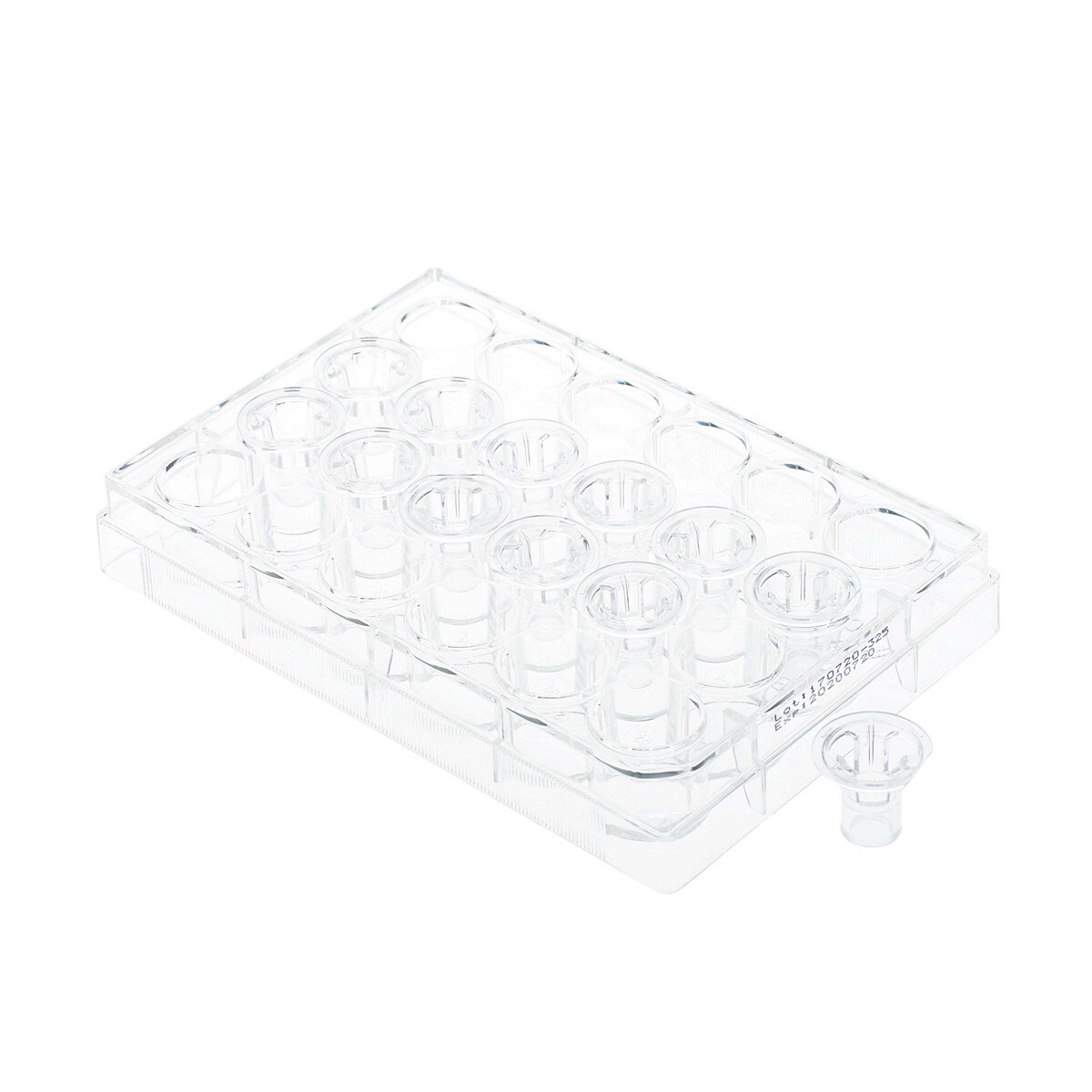 230637 | Permeable Cell Culture Inserts, Packed in 24 Well Plate ...