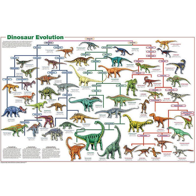 Fischer Technical Company DINOPOS-SET Dinosaur Poster Set, Laminated